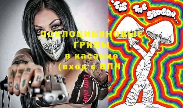 мдпв Армянск