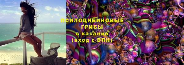 мдпв Армянск