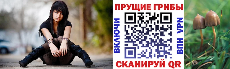 Галлюциногенные грибы Psilocybe  цены наркотик  площадка официальный сайт  Саров 